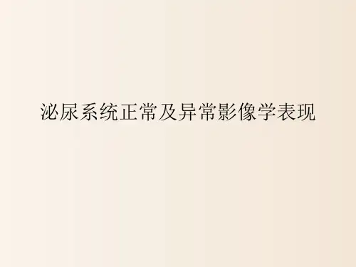泌尿系统正常及异常影像学表现