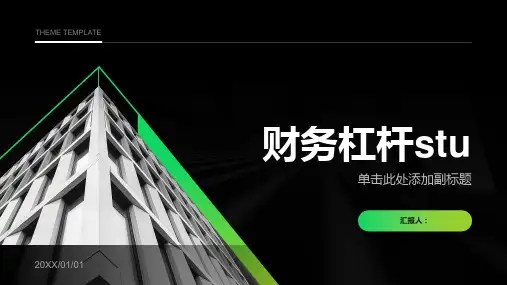 《财务杠杆stu》课件