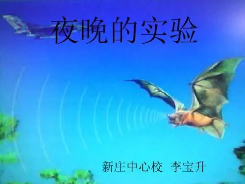 12、《夜晚的实验》PPT课件(1)