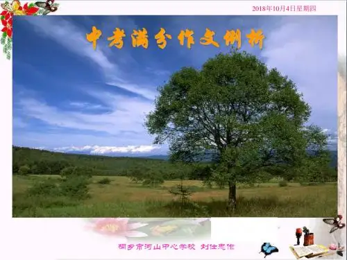 中考满分作文例析PPT优秀课件(28张)