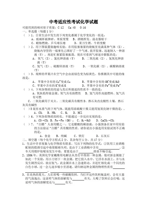 中考适应性考试化学试题