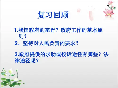 高中政治必修二课件政府的权利依法行使PPT