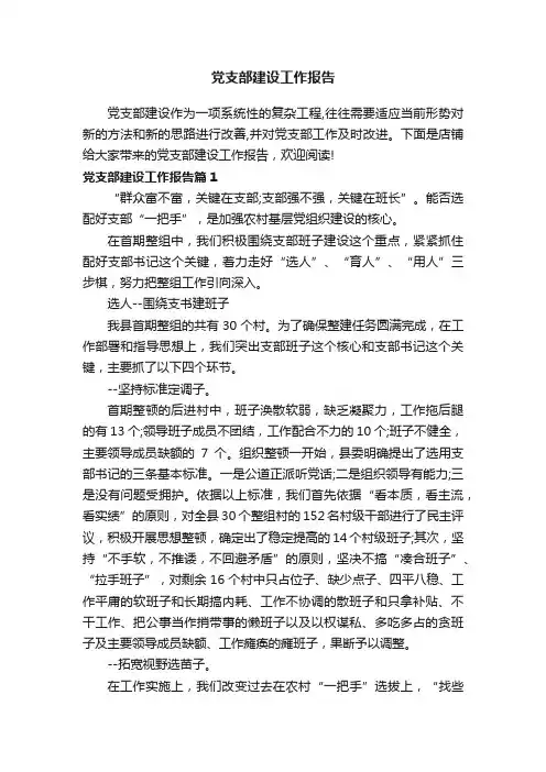 党支部建设工作报告