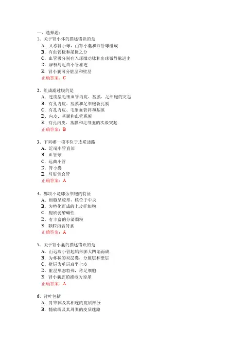 17泌尿系统