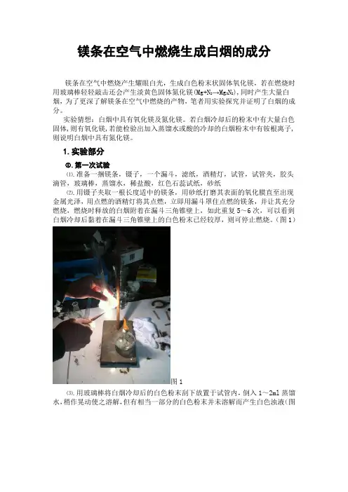 镁条燃烧产生的白烟的成分