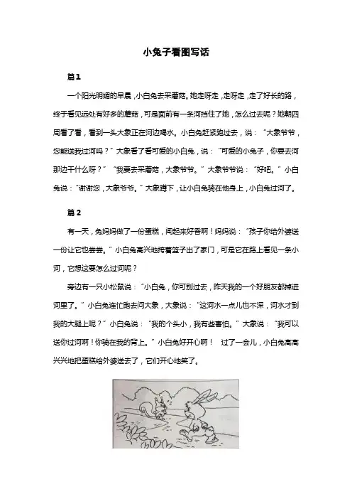 小兔子看图写话