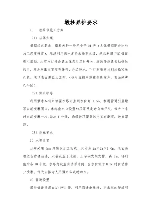 某部墩身养护方案(1)