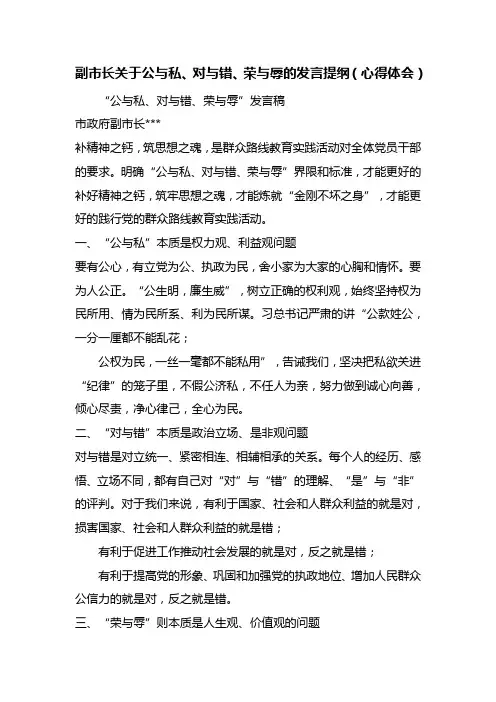 最新整理副市长关于公与私、对与错、荣与辱的发言提纲(心得体会)