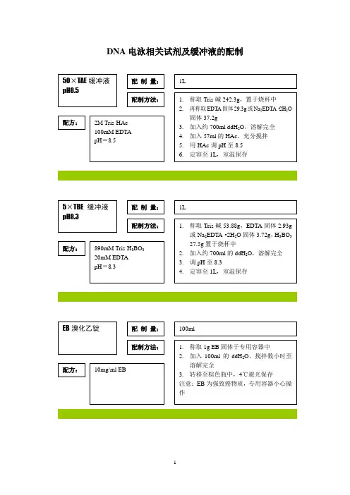 DNA电泳相关试剂及缓冲液的配制