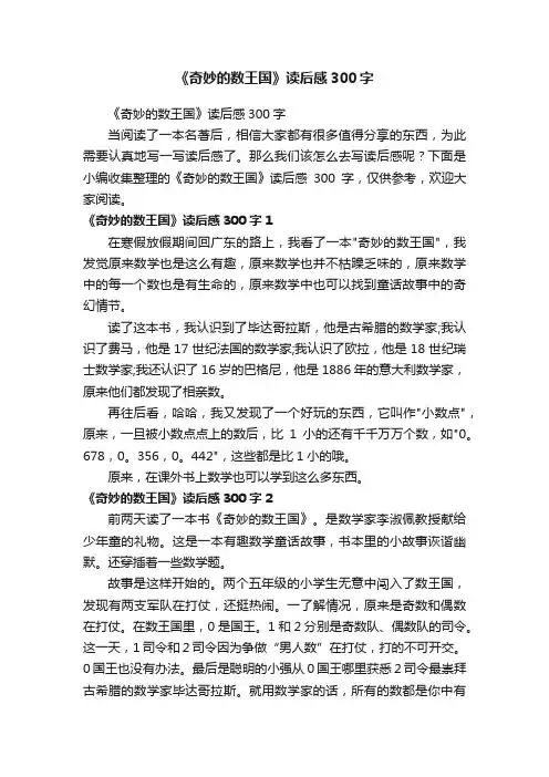 《奇妙的数王国》读后感300字