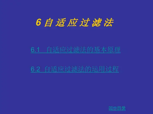 第六章 自适应过滤法