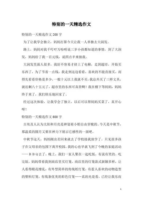 特别的一天精选作文