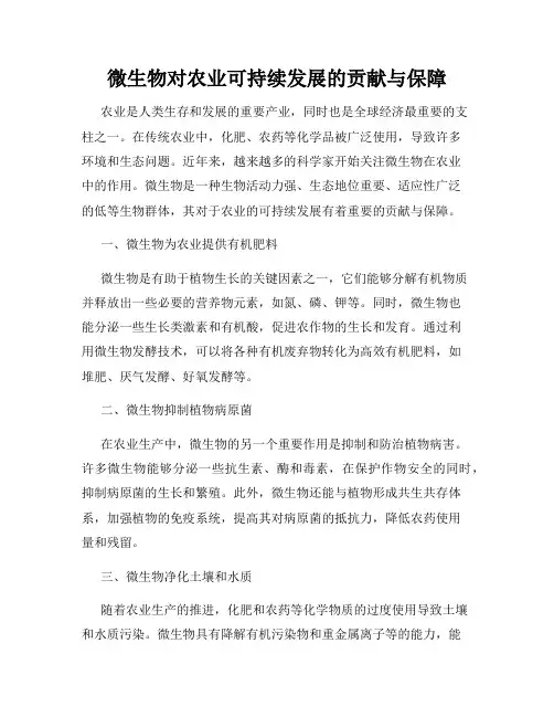 微生物对农业可持续发展的贡献与保障