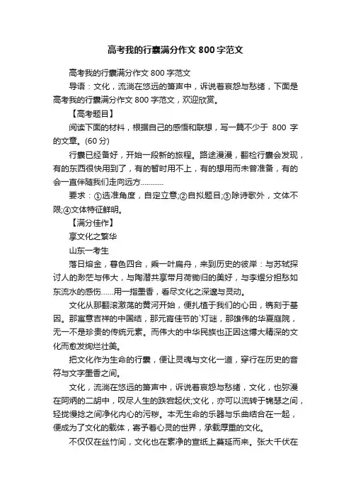 高考我的行囊满分作文800字范文