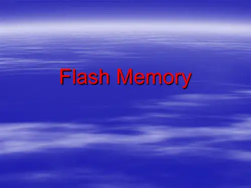 flash_memory讲解