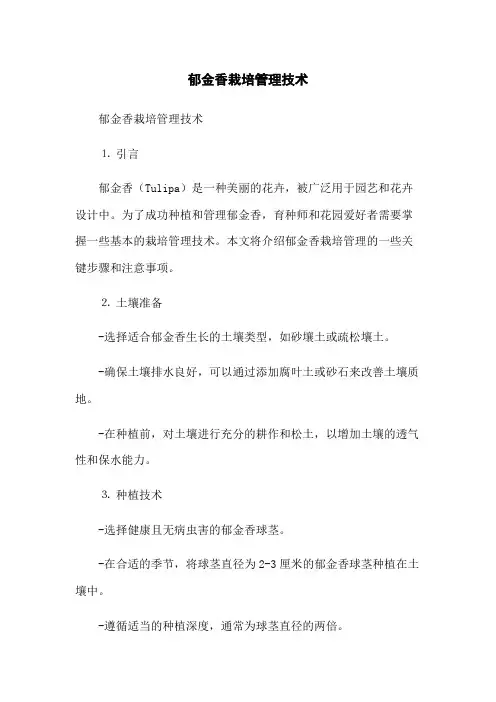 郁金香栽培管理技术