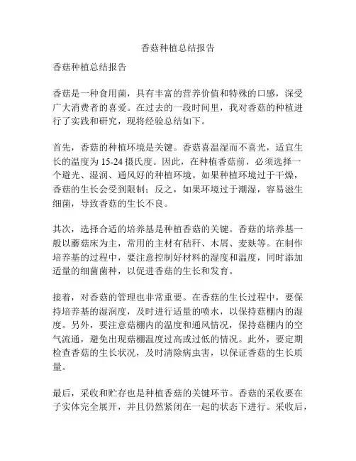 香菇种植总结报告
