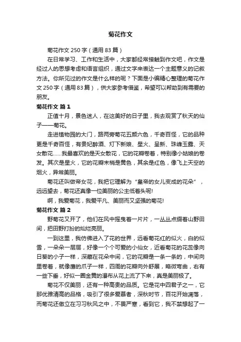 菊花作文250字（通用83篇）