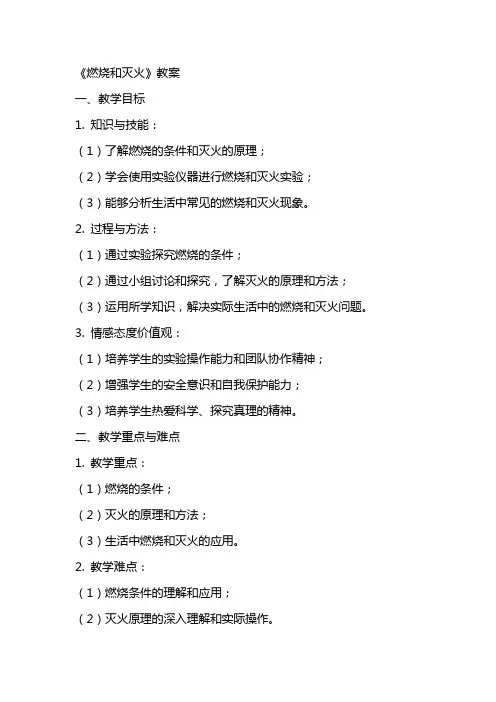 《燃烧和灭火》教案