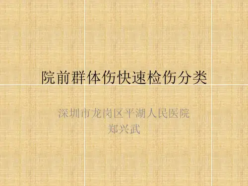 院前群体伤现场检伤分类PPT