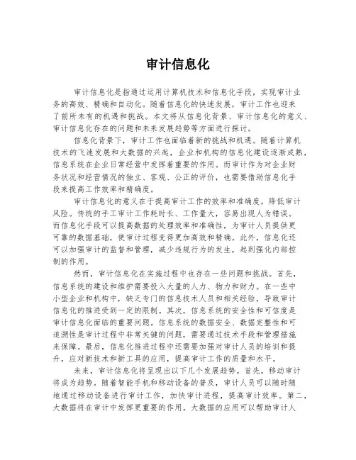 审计信息化
