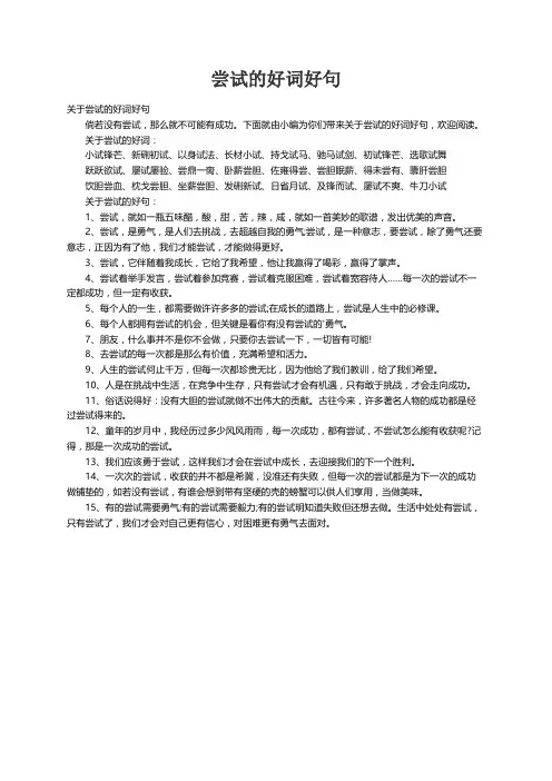 关于尝试的好词好句