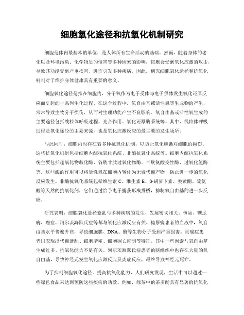 细胞氧化途径和抗氧化机制研究