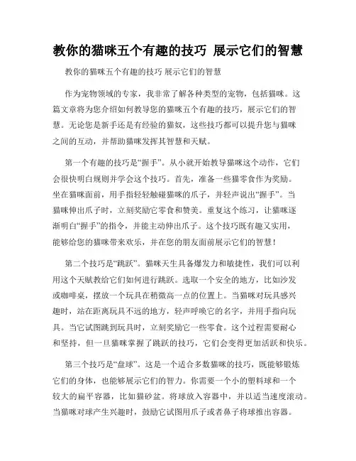 教你的猫咪五个有趣的技巧  展示它们的智慧