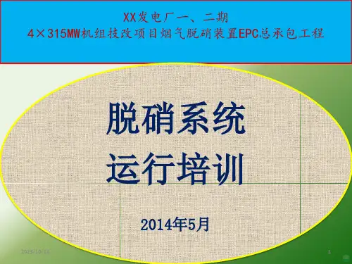 脱硝讲内容PPT课件