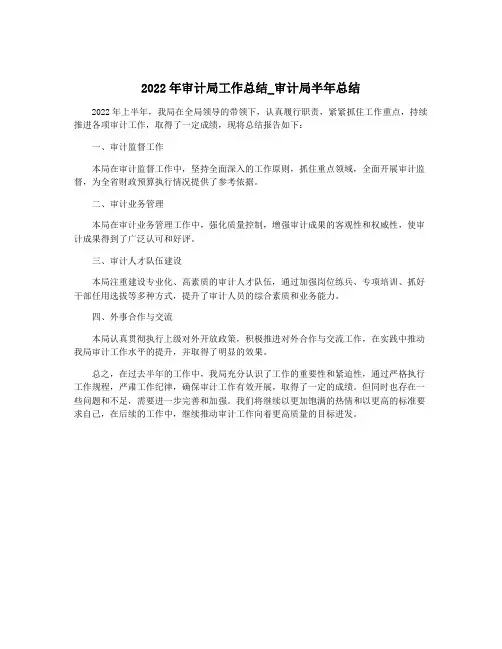 2022年审计局工作总结_审计局半年总结
