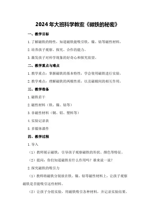 2024年大班科学教案《磁铁的秘密》