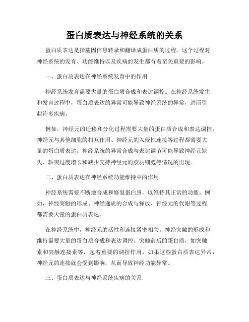 蛋白质表达与神经系统的关系