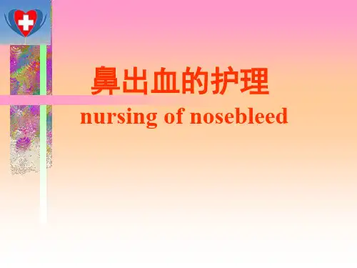 鼻出血的护理 PPT课件
