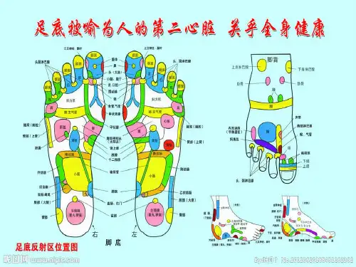 泡脚的好处PPT课件
