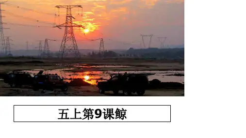 最新五上第9课鲸教学讲义PPT课件