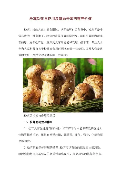 松茸功效与作用及禁忌 松茸的营养价值
