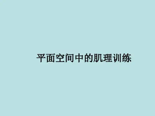 (动漫平面构成)第5章 肌理训练