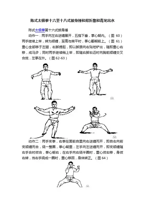 陈式太极拳十六至十八式披身捶和背折靠和青龙出水