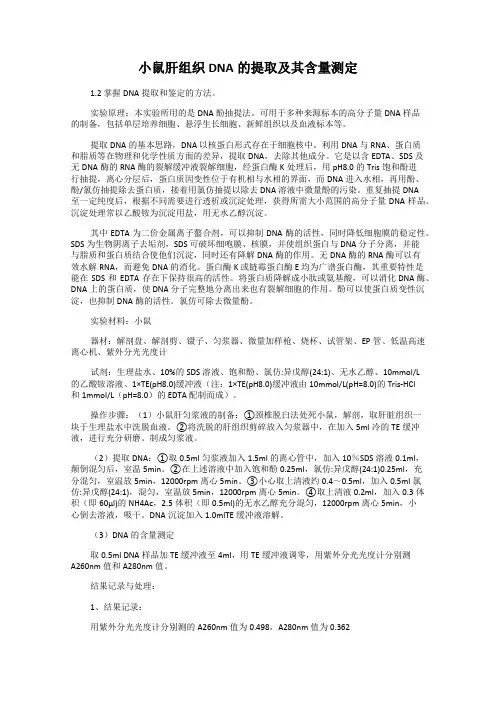 小鼠肝组织DNA的提取及其含量测定