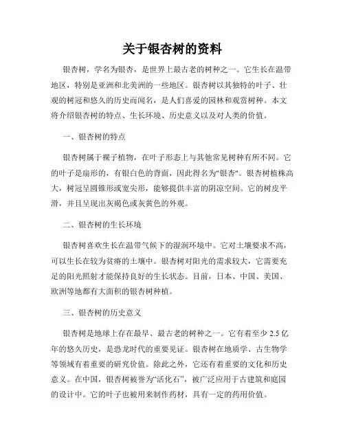 关于银杏树的资料