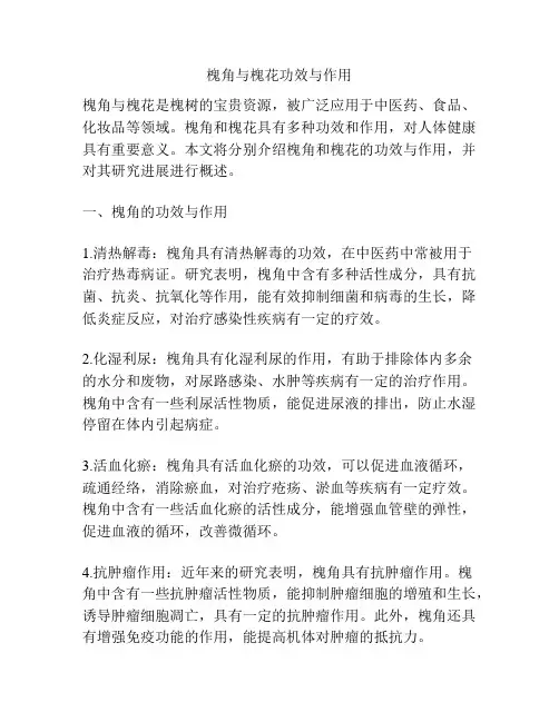 槐角与槐花功效与作用