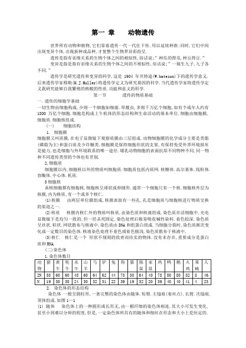 动物遗传
