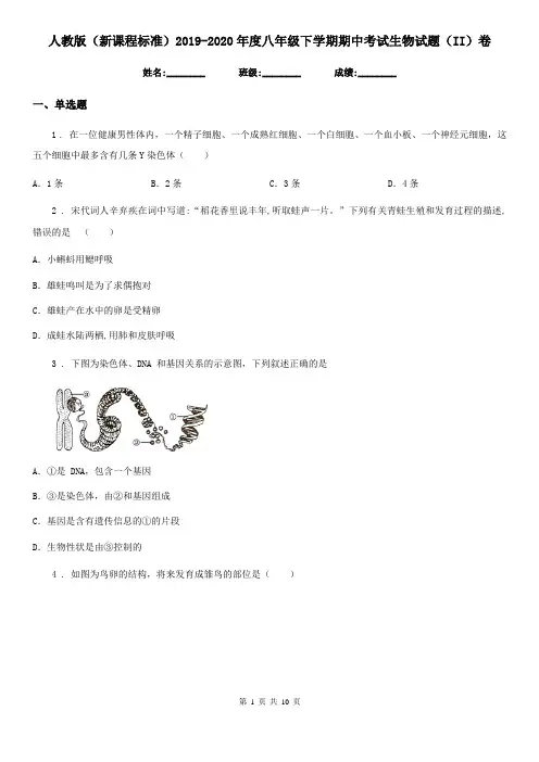 人教版(新课程标准)2019-2020年度八年级下学期期中考试生物试题(II)卷新编