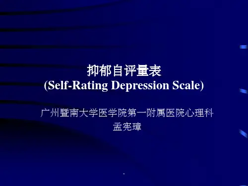 抑郁自评量表ppt课件