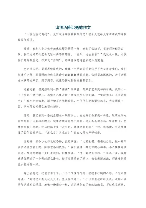 山洞历险记遇蛇作文