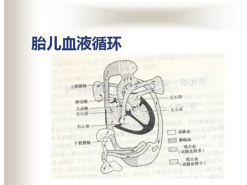先天性心脏病患儿的护理PPT课件
