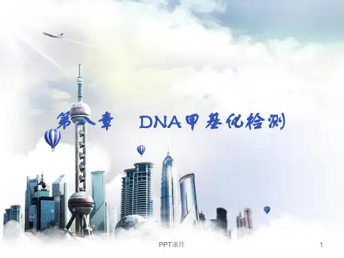 DNA甲基化检测  ppt课件