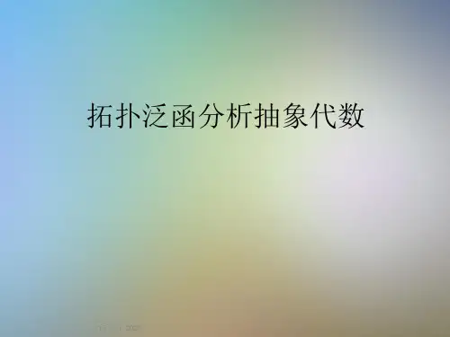 拓扑泛函分析抽象代数课件