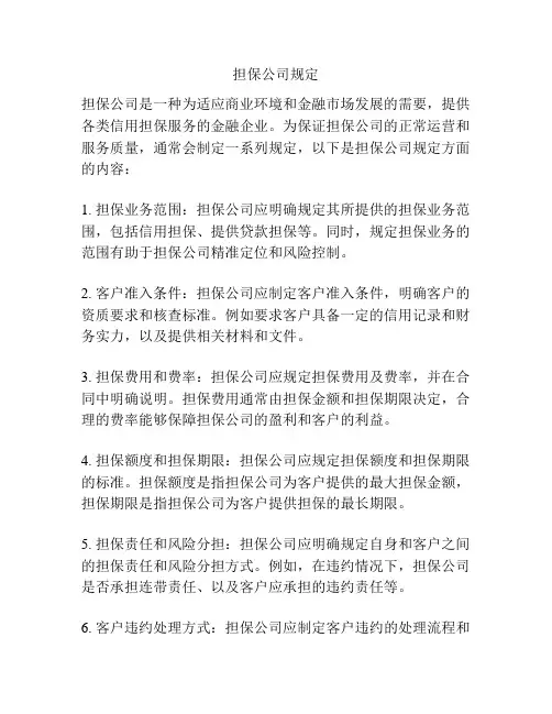 担保公司规定