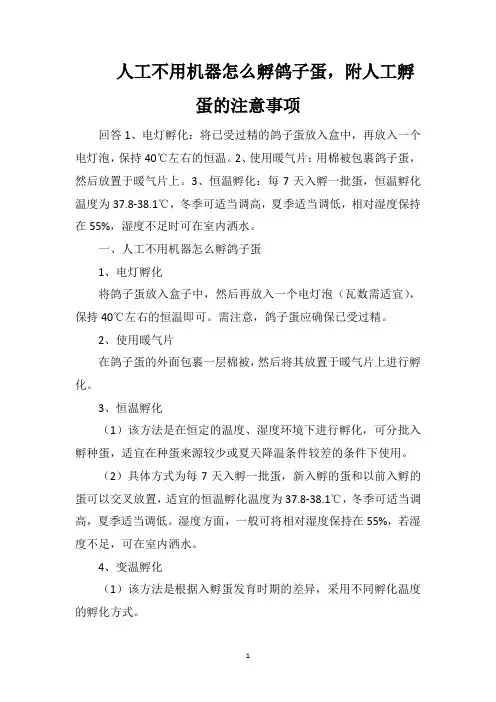 人工不用机器怎么孵鸽子蛋,附人工孵蛋的注意事项